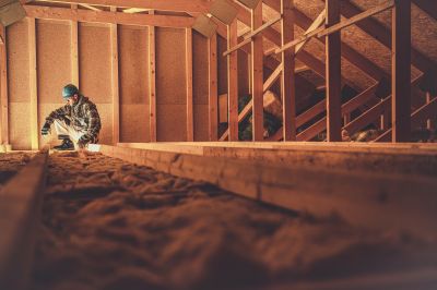 Attic Inspection - Attic Inspection Douglas, Arizona